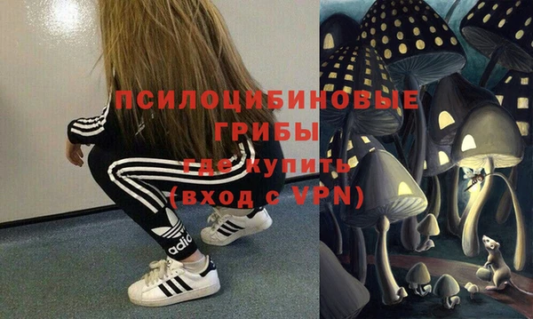 индика Алзамай