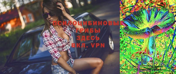 индика Алзамай