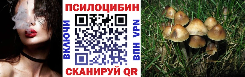 купить наркотики цена  Бугуруслан  Галлюциногенные грибы Psilocybine cubensis 